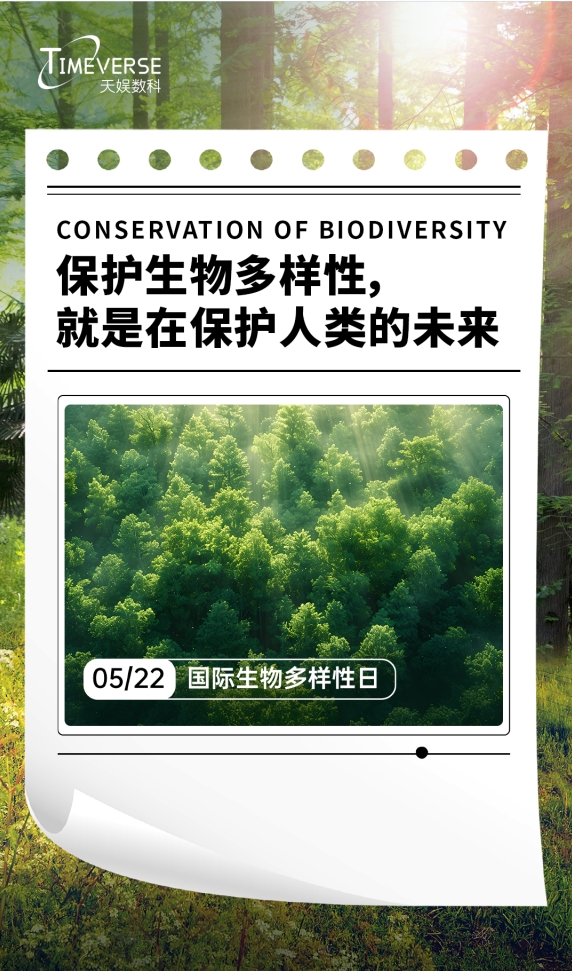 1716450218455595.png 2.png